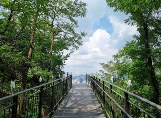 Observation deck along the Namsan Sky Forest Trail in Seoul, surrounded by green trees and overlooking the city skyline under a bright blue sky.
