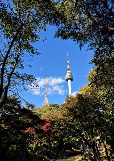 View of Namsan Tower seen through the trees along the Namsan Sky Forest Trail in Seoul under a clear blue sky.
