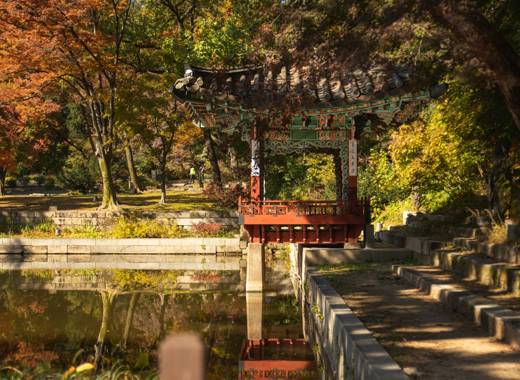Autumn garden view at Changdeokgung Palace in Seoul, part of the Seoul travel route to Changdeokgung and Changgyeonggung, featuring colorful fall trees reflected in a calm pond