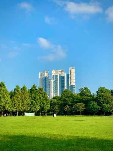 Sunny green field view at Seoul Forest during Seoul travel with apartment skyline in the background

