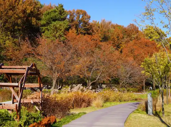 Autumn forest path in Buk Seoul Dream Forest travel, showing colorful trees, wooden structures, and a peaceful walking trail.