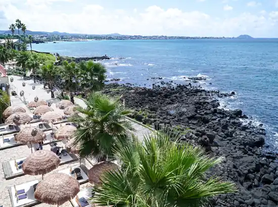 Oceanfront cafe view near the Hallasan Cheona Forest Trail in Jeju, overlooking basalt rocks and the blue coastline.
