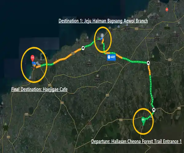 Route map showing the travel path from the Hallasan Cheona Forest Trail Entrance to Jeju Halman Bapsang Aewol Branch and Haejigae Cafe.
