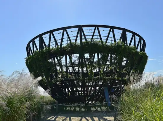 A large bowl-shaped observatory structure covered with greenery at Haneul Park in Seoul, captured as part of the Haneul Park Seoul Travel Course under a clear blue sky