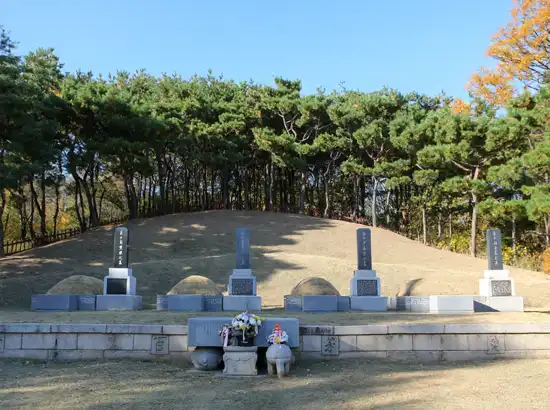 Memorial tombs at Hyochang Park, honoring Korean independence activists with stone markers set against a backdrop of pine trees and autumn foliage.