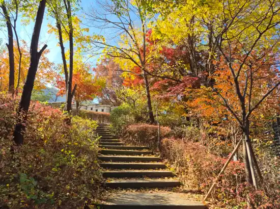 Autumn stairway surrounded by colorful fall foliage on Inwangsan Course 1 in Seoul.