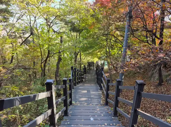 Forest stairway surrounded by autumn foliage on Inwangsan Course 1 in Seoul.