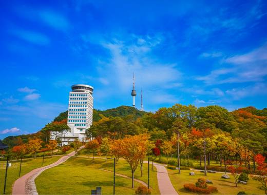 Namsan Park walking trail with city view and N Seoul Tower in the background, a popular scenic spot in Seoul.