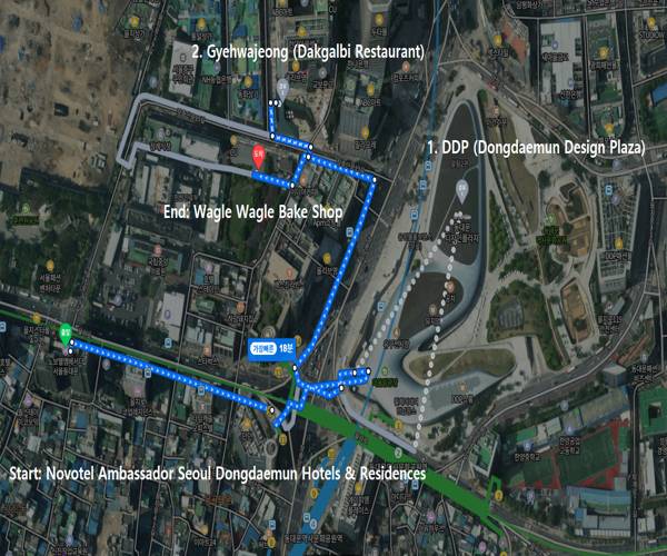 Walking route map from Novotel Ambassador Seoul Dongdaemun to DDP, Gyehwajeong Dakgalbi, and Wagle Wagle Bake Shop
