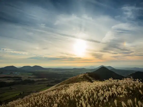 Sunset panorama from Saebyeol Oreum overlooking golden reeds, rolling hills, and the wide Jeju landscape under a glowing sky.
