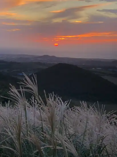 Sunset view from Saebyeol Oreum with golden clouds, distant hills, and silver reeds glowing in the soft evening light on Jeju Island.