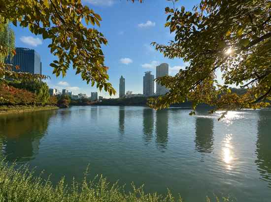 A peaceful view of Seokchon Lake along the Seokchon Lake walking course, showing clear water, autumn trees, and the Seoul skyline under a bright sky.