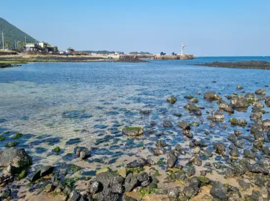 Rocky coastal shoreline viewed during a Seongsan Ilchulbong sunrise trip, showing clear blue water and Jeju’s peaceful seaside scenery.