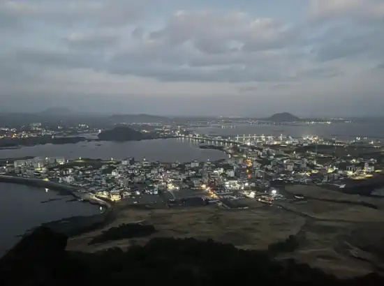 Night view of Seongsan town captured during a Seongsan Ilchulbong sunrise trip, overlooking the coastline and village lights in Jeju, South Korea.