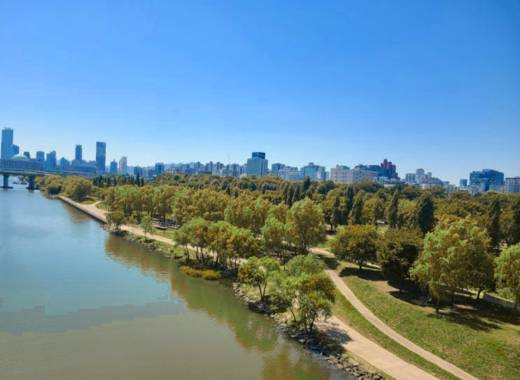Autumn view of Seonyudo Park overlooking the Han River and Seoul skyline