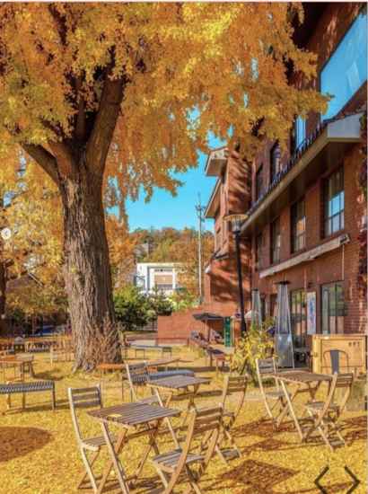 Autumn outdoor seating area at Staff Picks Cafe in Seoul, covered with golden ginkgo leaves.