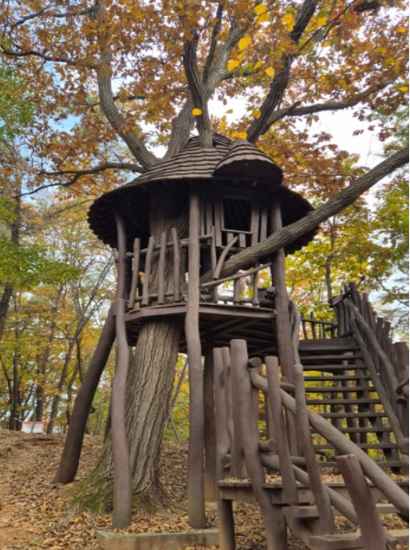 Wooden treehouse along the forest trail of Seoul Dulle-gil 11 Gwanaksan, surrounded by autumn foliage.