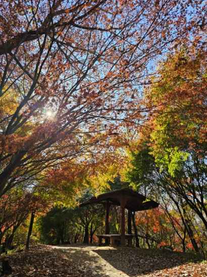 Autumn forest scenery along the Seoul Dulle-gil 17 Course with sunlight filtering through colorful leaves and a wooden rest pavilion.