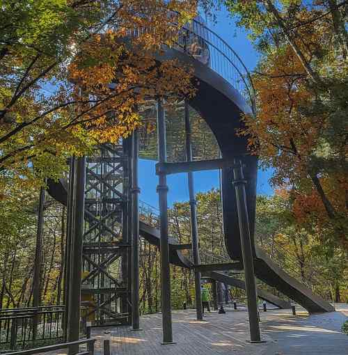 Seoul Dulle-gil Course 3 Bukhansan observatory with a clear blue sky, surrounded by autumn trees along the forest trail.