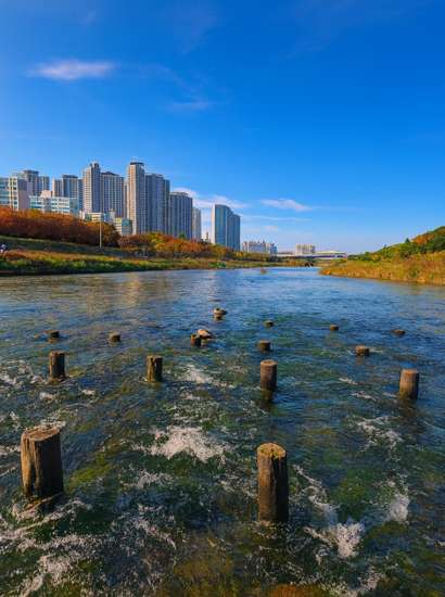 Autumn river view along the Seoul Dulle-gil 13 Course Anyangcheon Upper Stream, showing flowing water, wooden posts, and Seoul apartment buildings under a clear blue sky.