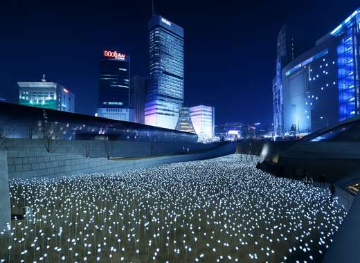 Night view of the LED Rose Garden at Dongdaemun Design Plaza (DDP) in Seoul, filled with glowing white LED roses under a clear sky — part of the Seoul Food & Seoul Café Day Trip itinerary