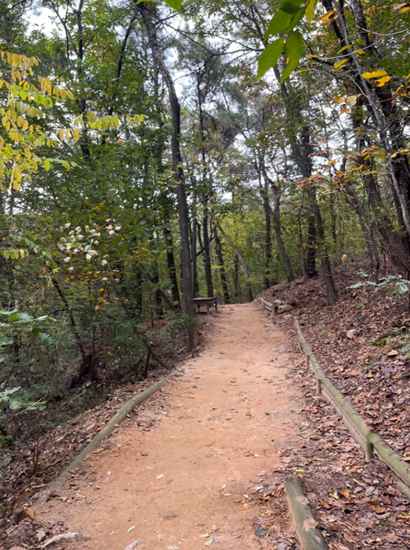 A peaceful forest path on Seoul Trail Course 10 Umyeonsan, captured during a quiet autumn hike.