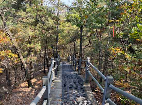 A forest descent path with wooden railings along Seoul Trail 12 Hoamsan surrounded by pine and autumn foliage.
