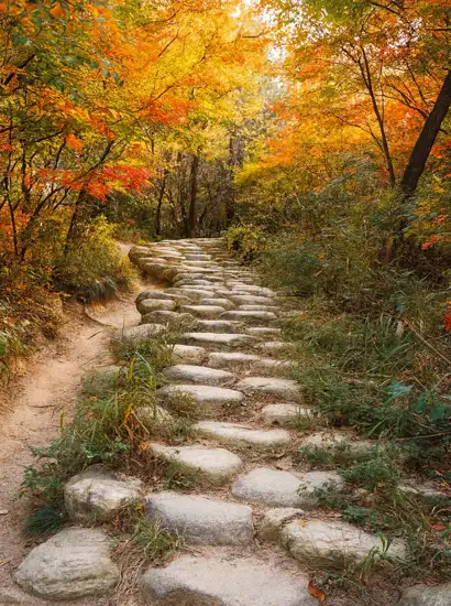 Seoul Trail 18 Course stone path surrounded by light autumn foliage