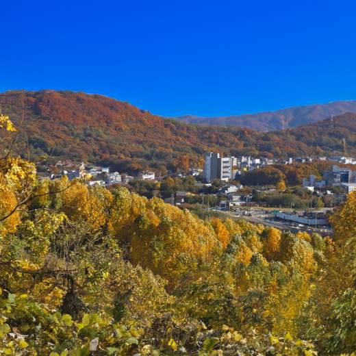 Autumn mountain and city view from the Seoul Trail 7 Course Iljasan, with bright blue sky and colorful foliage overlooking the valley.