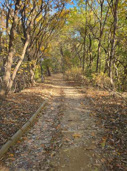 Autumn forest path along the Seoul Trail 7 Course Iljasan, showing a quiet dirt trail covered with fallen leaves under bright seasonal foliage.