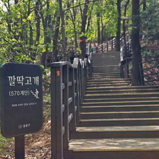 The 570-step Kkaldakgogae stairway along Seoul Trail Section 4, surrounded by forest trees and wooden railings.