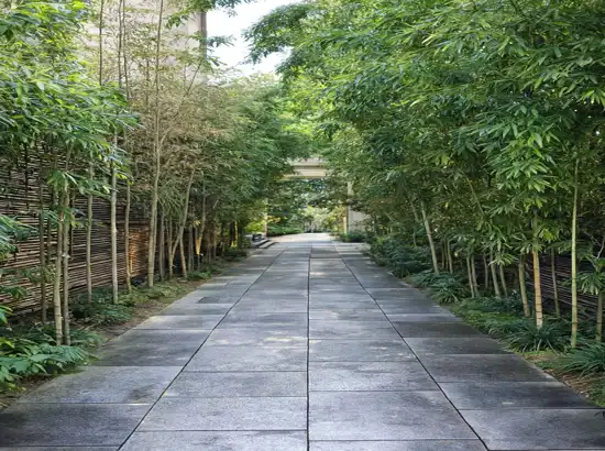 A quiet bamboo-lined walkway in Seoul with a calm Sero-gil inspired atmosphere, captured for the Sillim date course itinerary.