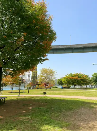 Ttukseom Hangang Park with light autumn foliage under a bright blue sky, riverside path and trees in Seoul.
