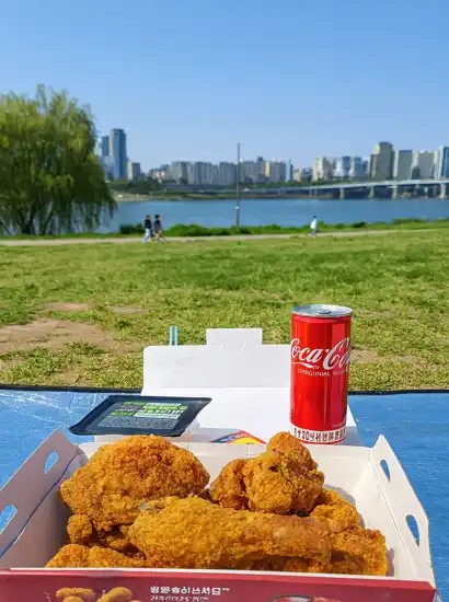 Picnic fried chicken with Coca-Cola at Ttukseom Hangang Park on a clear sunny day with the Seoul riverside in the background.