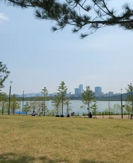 Sunny riverside view of Ttukseom Hangang Park with open grass field, trees, and the Seoul skyline in the distance.
