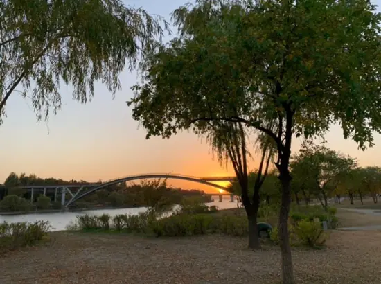 A peaceful sunset view at Yanghwa Hangang Park in Seoul, with Seonyugyo Bridge silhouetted against the warm evening sky.