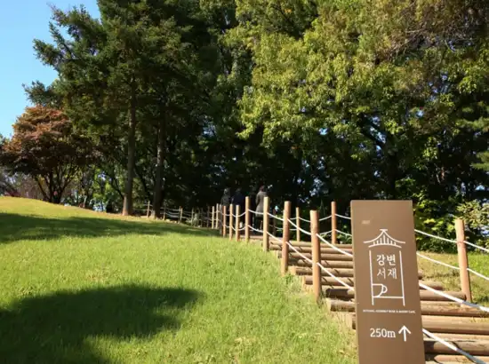 Forest trail along the Yeouido Park walking course with a guide sign pointing toward the river library area.
