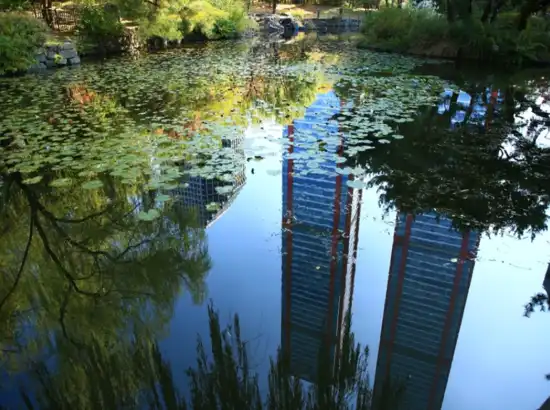 Pond scenery along the Yeouido Park walking course with high-rise buildings reflected on the calm water surface.
