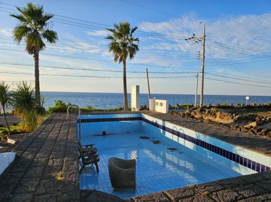 Ocean-view pool in Aewol, Jeju with palm trees and the sea in the background — Aewol sunset resort recommendations