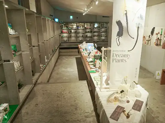 Display area inside Amore Seongsu featuring curated beauty products and the ‘Dreamy Plants’ installation for visitors of the Amore Seongsu K-Beauty Makeup Class.