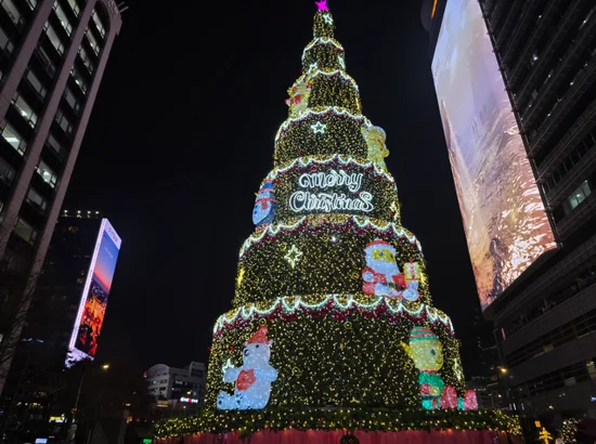 Gwanghwamun Market stamp tour photo spot: giant Christmas tree lights in central Seoul (Seoul Winter Festa)