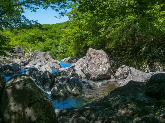 Rocky stream and lush green forest along the Hallasan Dongbaek-gil trekking route near Donnaeko Valley in Jeju.