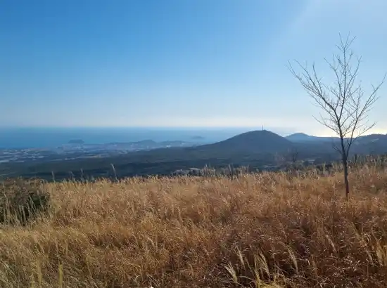 Wide ridge and coastal view seen from the Hallasan Dongbaek-gil trekking route, overlooking golden grass fields and the blue sea in Jeju.
