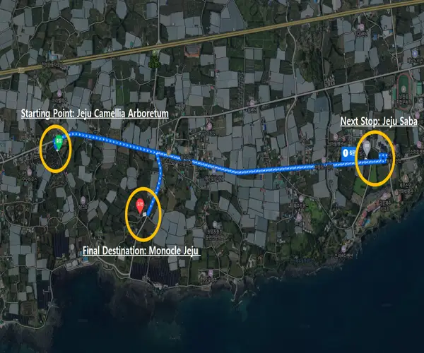 Route map showing the drive from Jeju Camellia Arboretum to Jeju Saba and final destination Monocle Jeju along the Namwon area