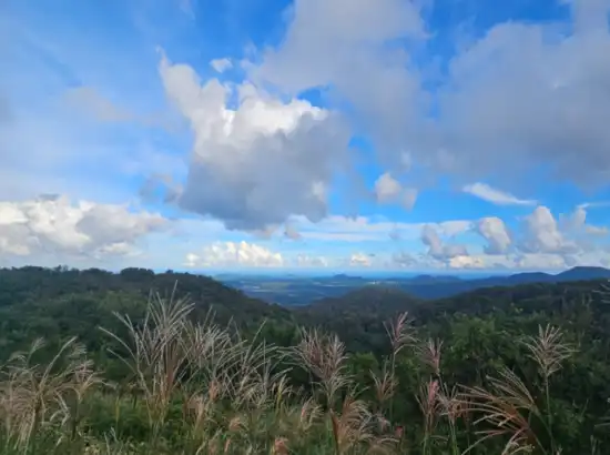 Mountain and sky view near Jeju Jeolmul Natural Recreation Forest, with clouds and layered green hills.

