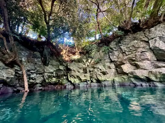 Cliffside view at Soesokkak on the Jeju Seogwipo travel course, showing emerald water, volcanic rock formations, and overhanging forest trees.