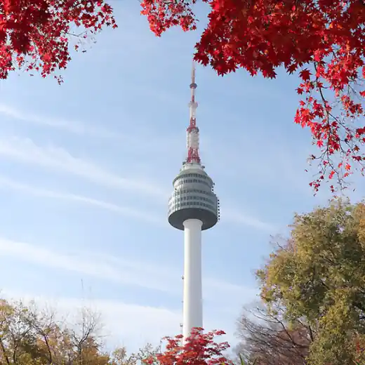 N Seoul Tower in autumn framed by red maple leaves, helpful view photo for n seoul tower tickets planning