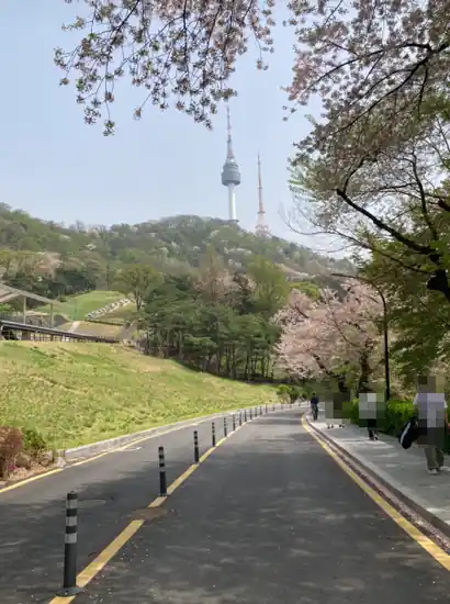 N Seoul Tower view from the namsan north loop trail with cherry blossoms along the road in spring