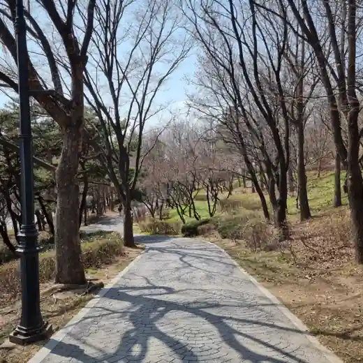 Forest walking path at Namsan Outdoor Botanical Garden on the Namsan Outdoor Botanical Garden to Itaewon day route