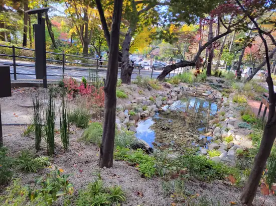 Small landscaped pond and garden along the namsan sky forest trail itinerary near the boardwalk in Namsan, Seoul